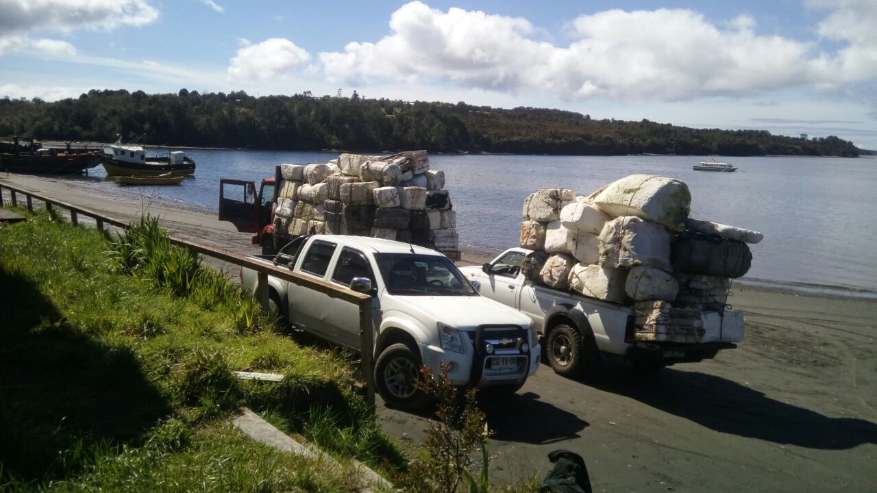“Comprometidos con el Mar” retira casi 6.000 kilos de residuos de la costa de Isla Cailín