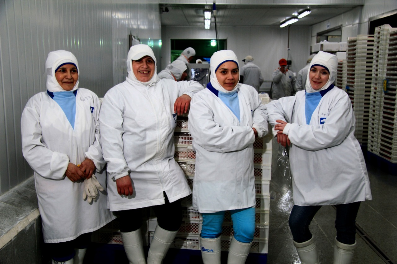 Salmonchile convoca a empresas productoras y proveedoras a mesa de trabajo para fomentar la equidad de género