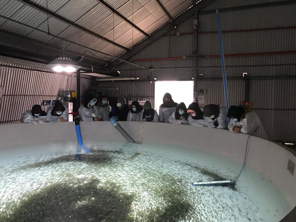 Estudiantes de Pucón visitaron piscicultura Catripulli para conocer los procesos de la salmonicultura