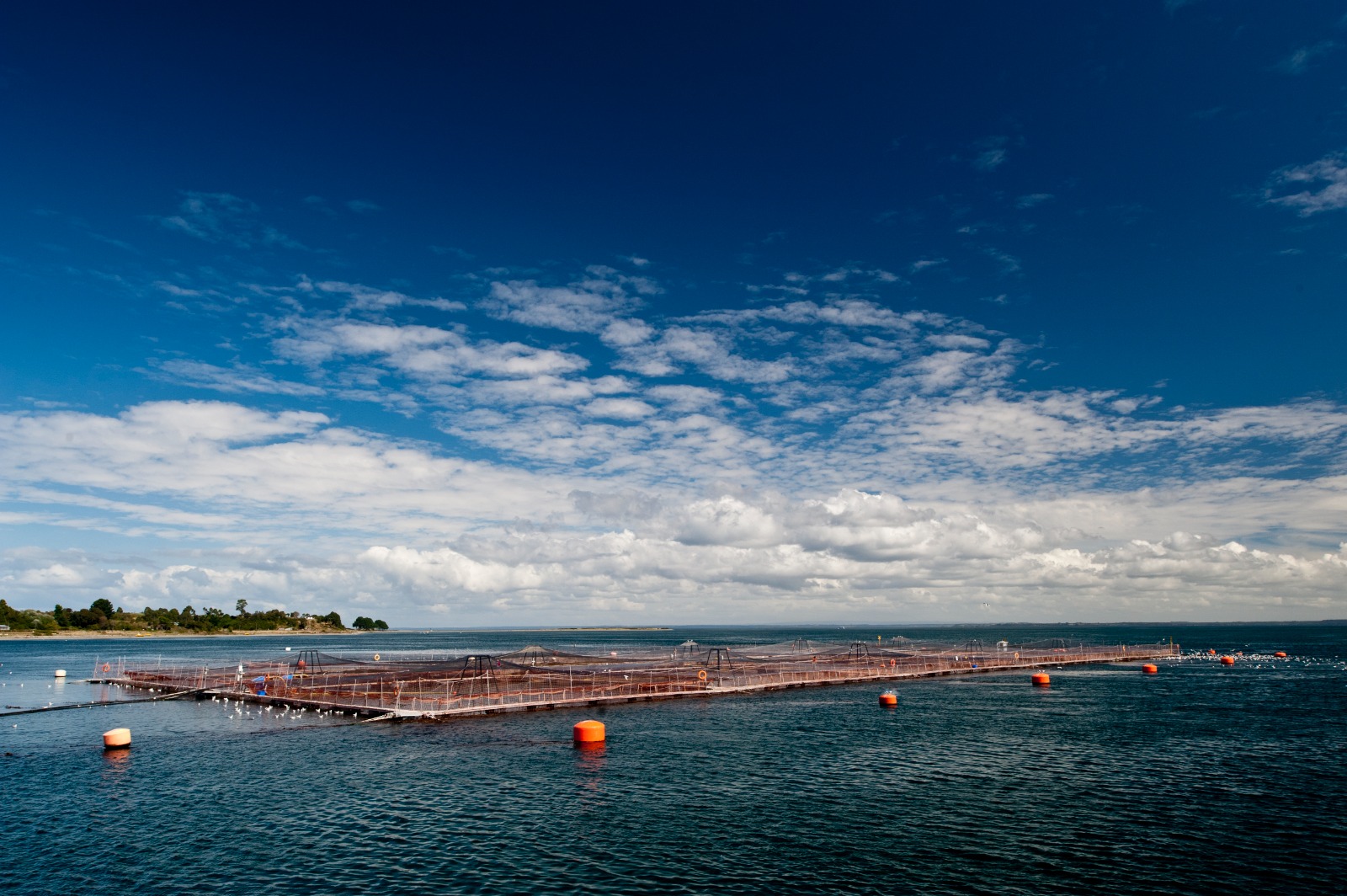 SalmonChile debuta en EtMday 2025: Innovación desde la Patagonia para un mundo más sostenible