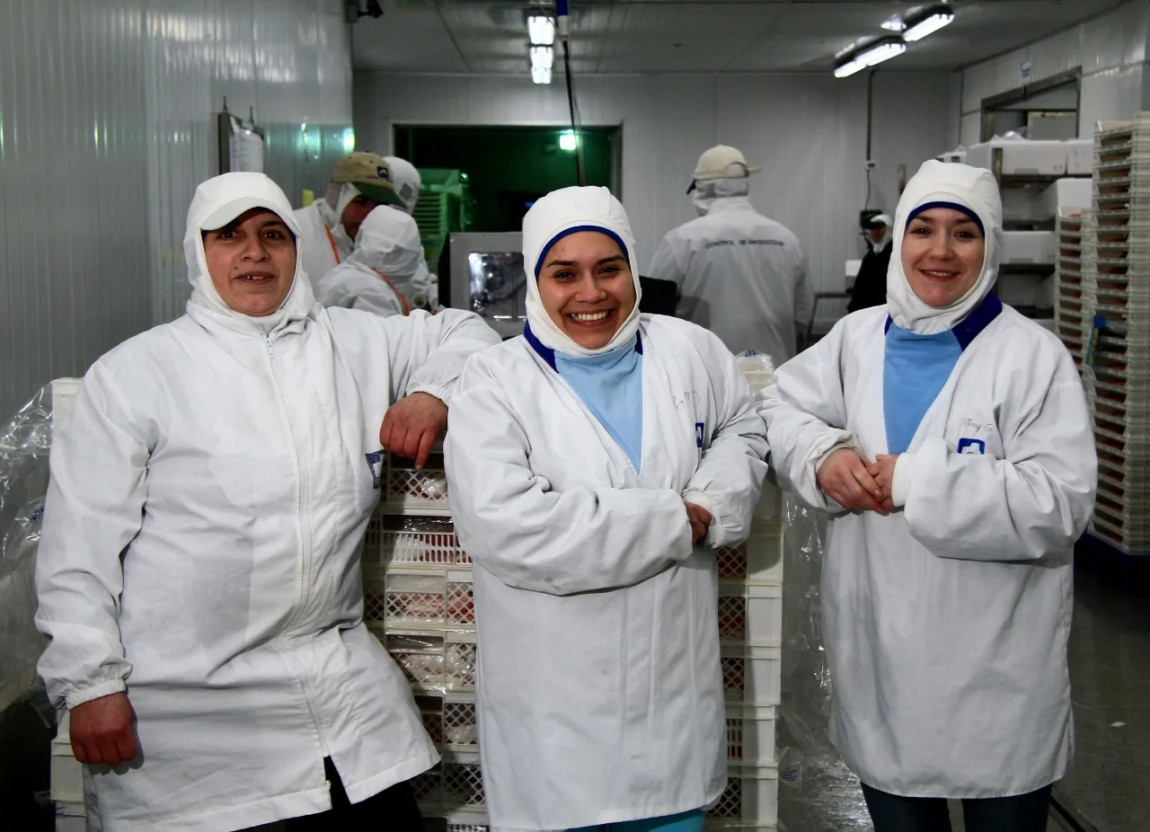 Conforman mesa técnica del primer Barómetro de la Salmonicultura en Chile