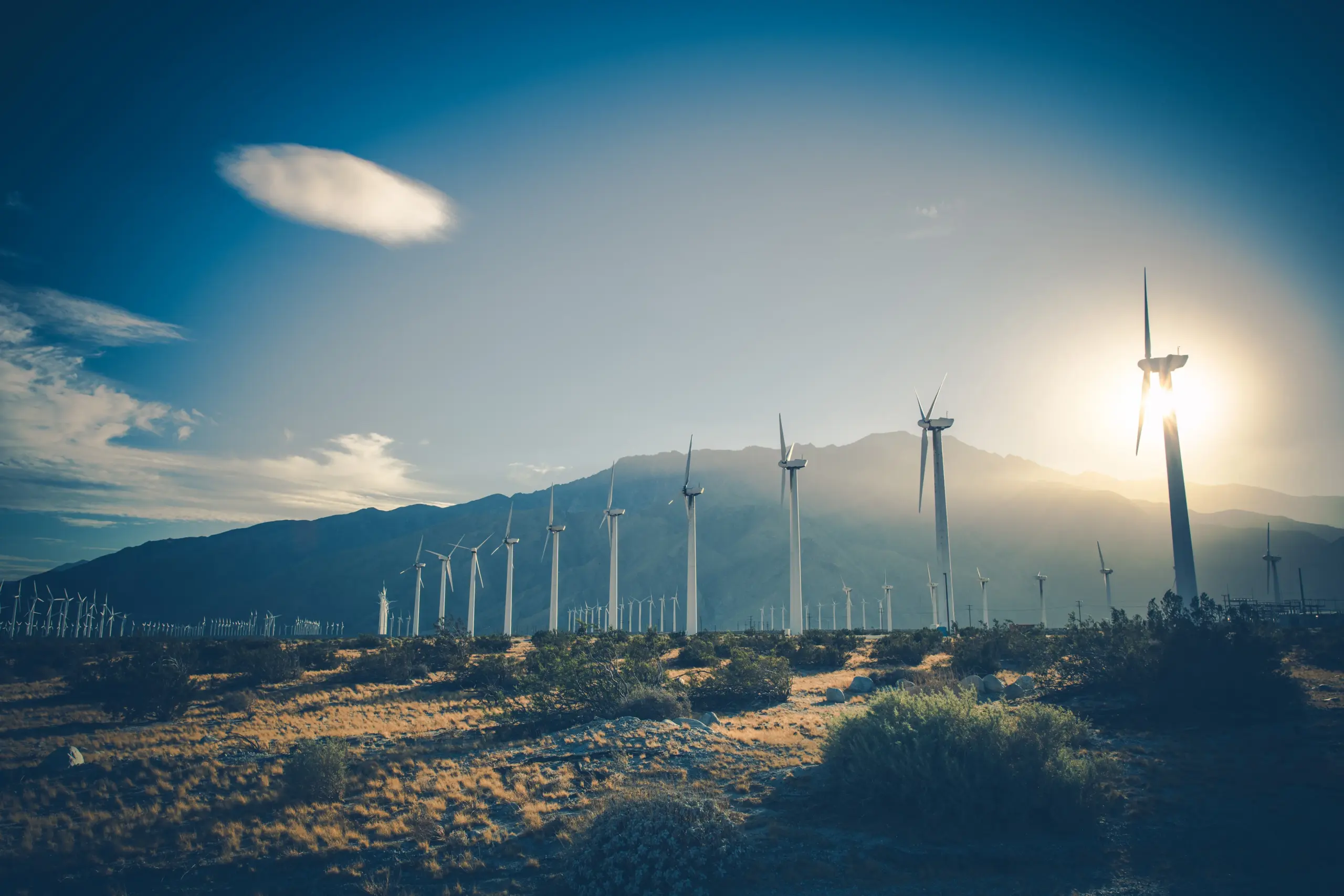Blumar y sus filiales usarán un 100% de energías limpias en sus procesos productivos