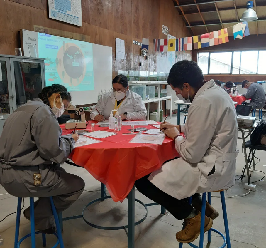 SalmonChile impulsa capacitaciones de educación técnica profesional en la zona sur austral