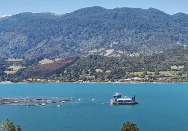 VII Informe de Sustentabilidad de SalmonChile revela importantes aportes económicos de la salmonicultura al país