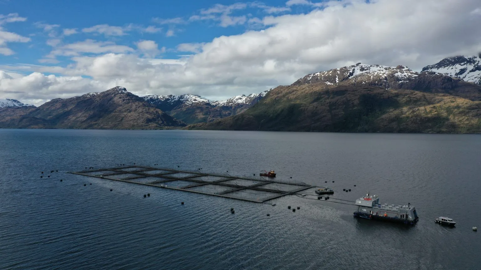 Declaración pública Nova Austral