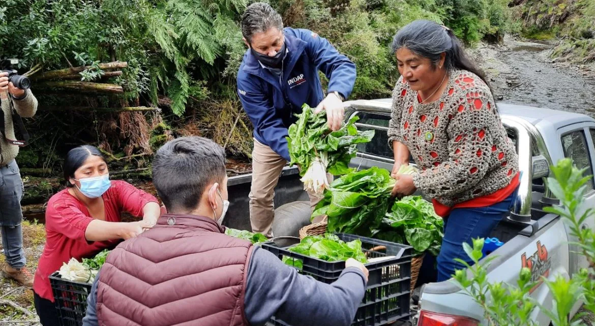 “Compra local”: el exitoso plan piloto de las salmoneras en Chiloé