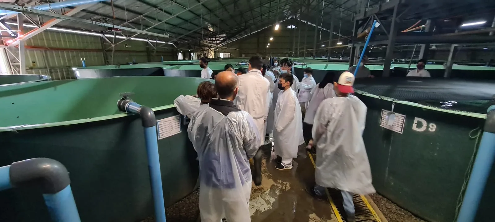 SalmonChile recibió en piscicultura Curacalco a jóvenes deportistas de Cunco