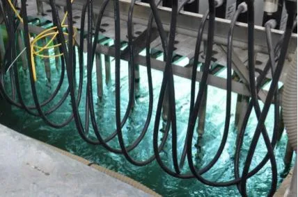Ecosalmon se incorpora a los más de 50 socios de SalmonChile
