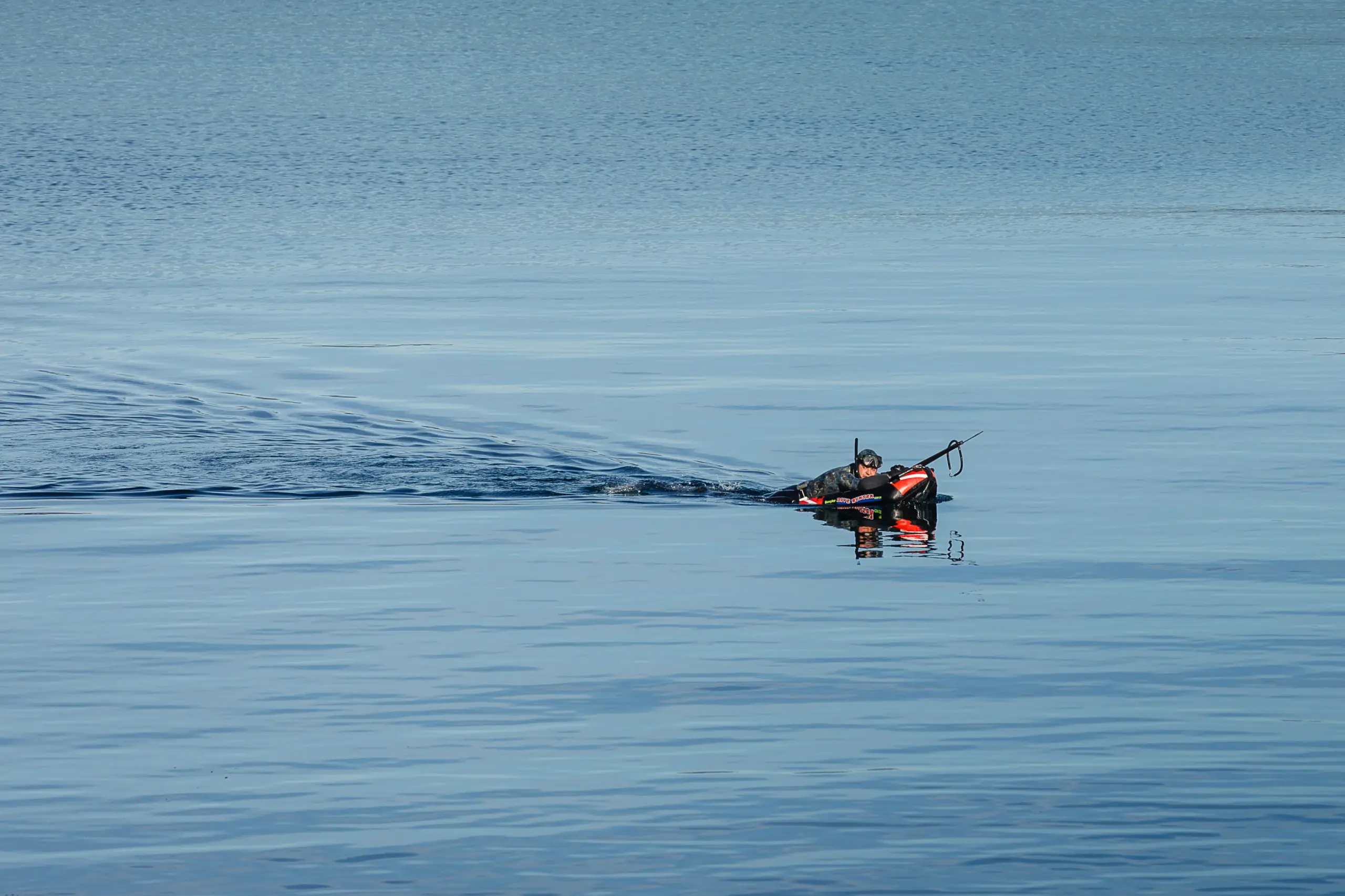 Buceo seguro: SalmonChile da a conocer avance en acciones preventivas