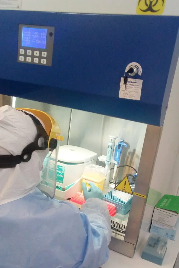 Aysén: Laboratorio salmonero es el primero en analizar muestras de Coronavirus en la región