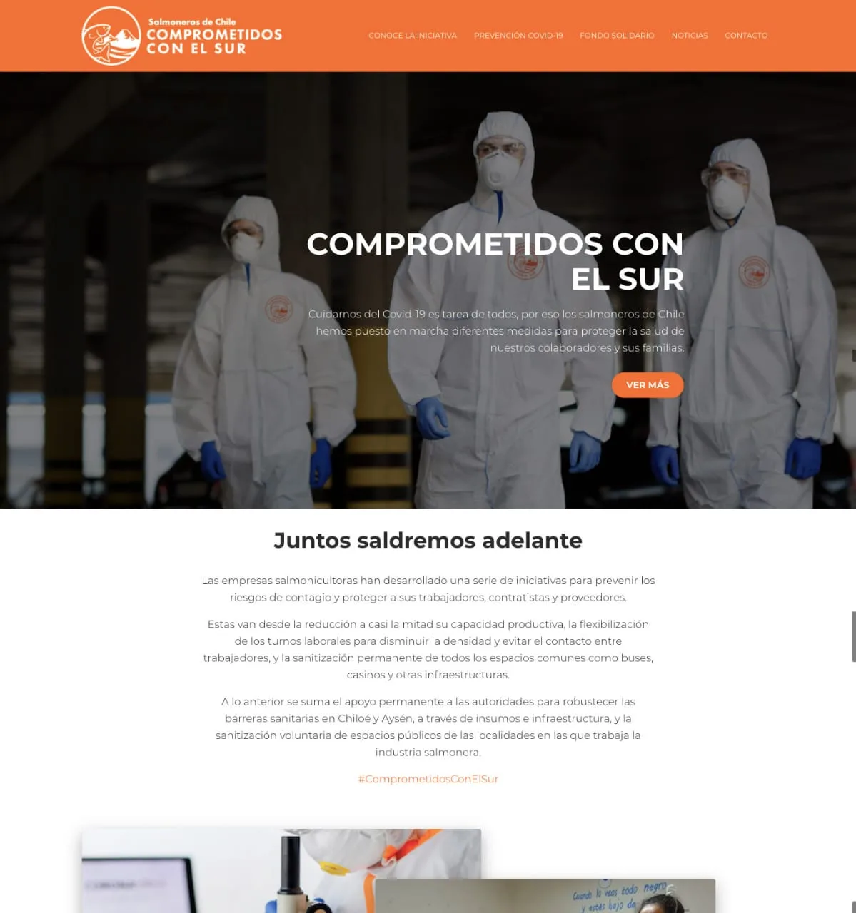 Lanzan sitio web con acciones de la industria salmonera para enfrentar el Covid-19