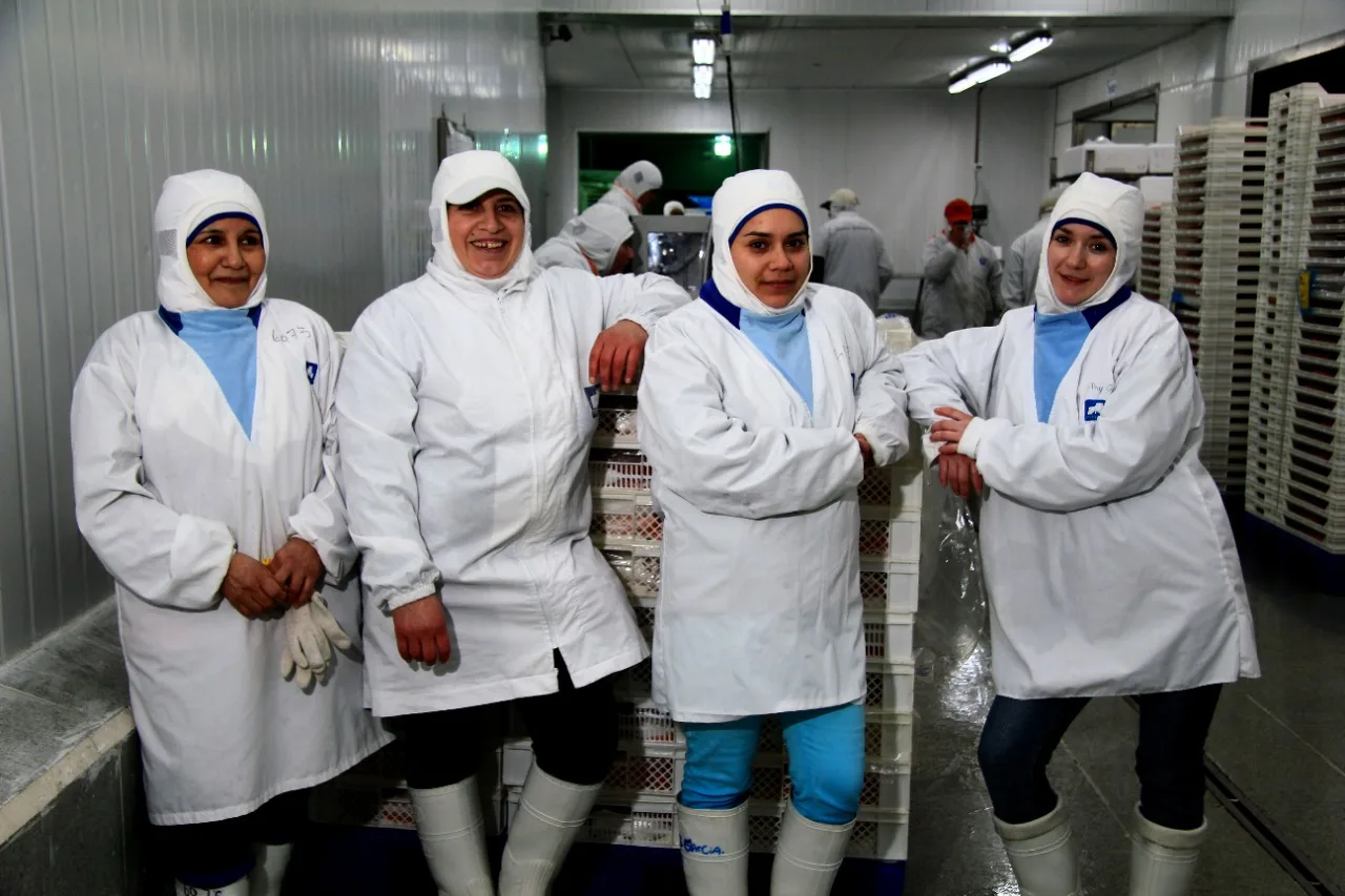 Salmonchile convoca a empresas productoras y proveedoras a mesa de trabajo para fomentar la equidad de género