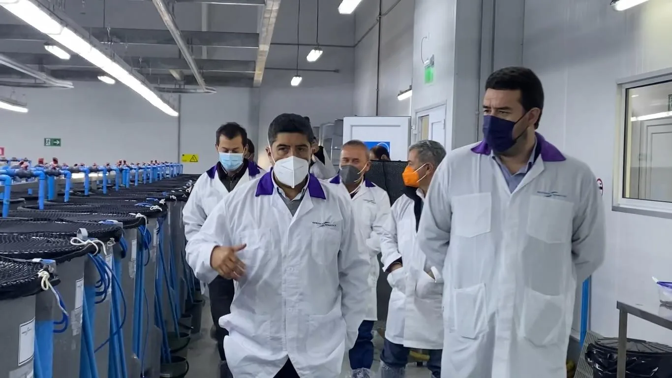 Gobernador  regional de La Araucanía visitó piscicultura en Catripulli para conocer más sobre la salmonicultura
