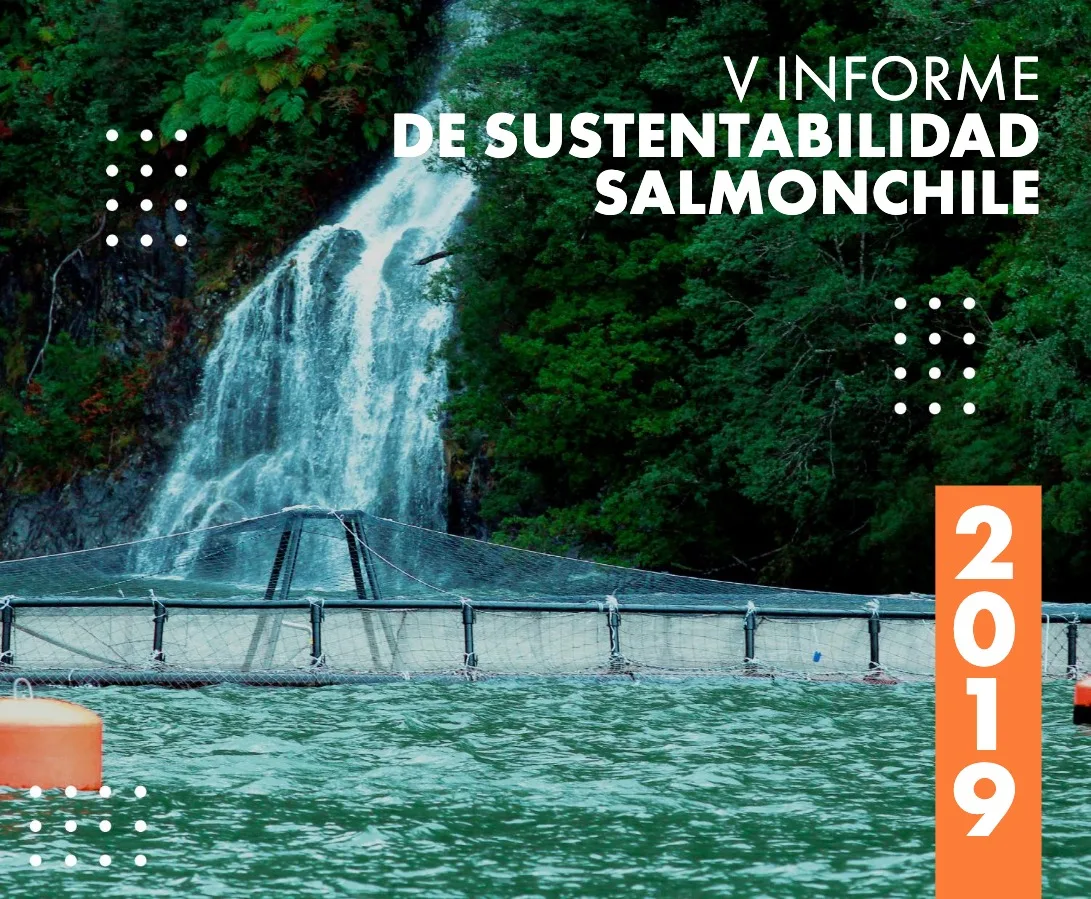V Informe de Sustentabilidad 2019: importantes logros sociales y medioambientales