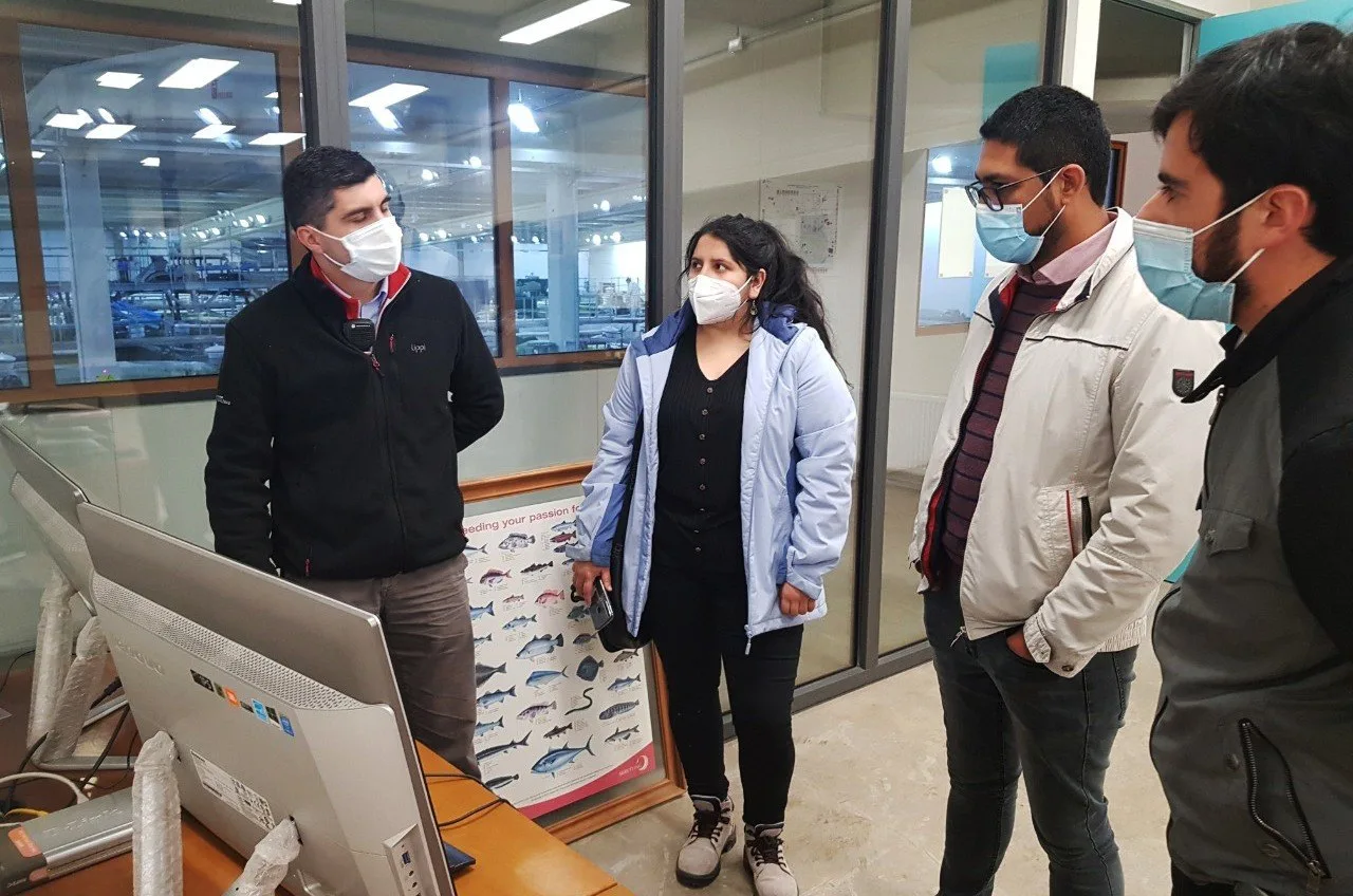 Programa de innovación abierta en acuicultura invita a startups para su segunda versión