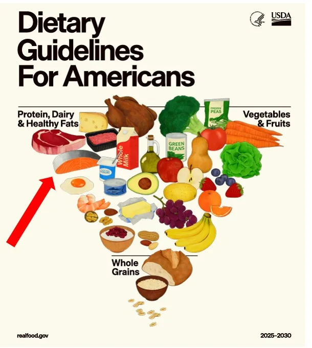 Estados Unidos recomienda mayor consumo de salmón para combatir la crisis de salud norteamericana