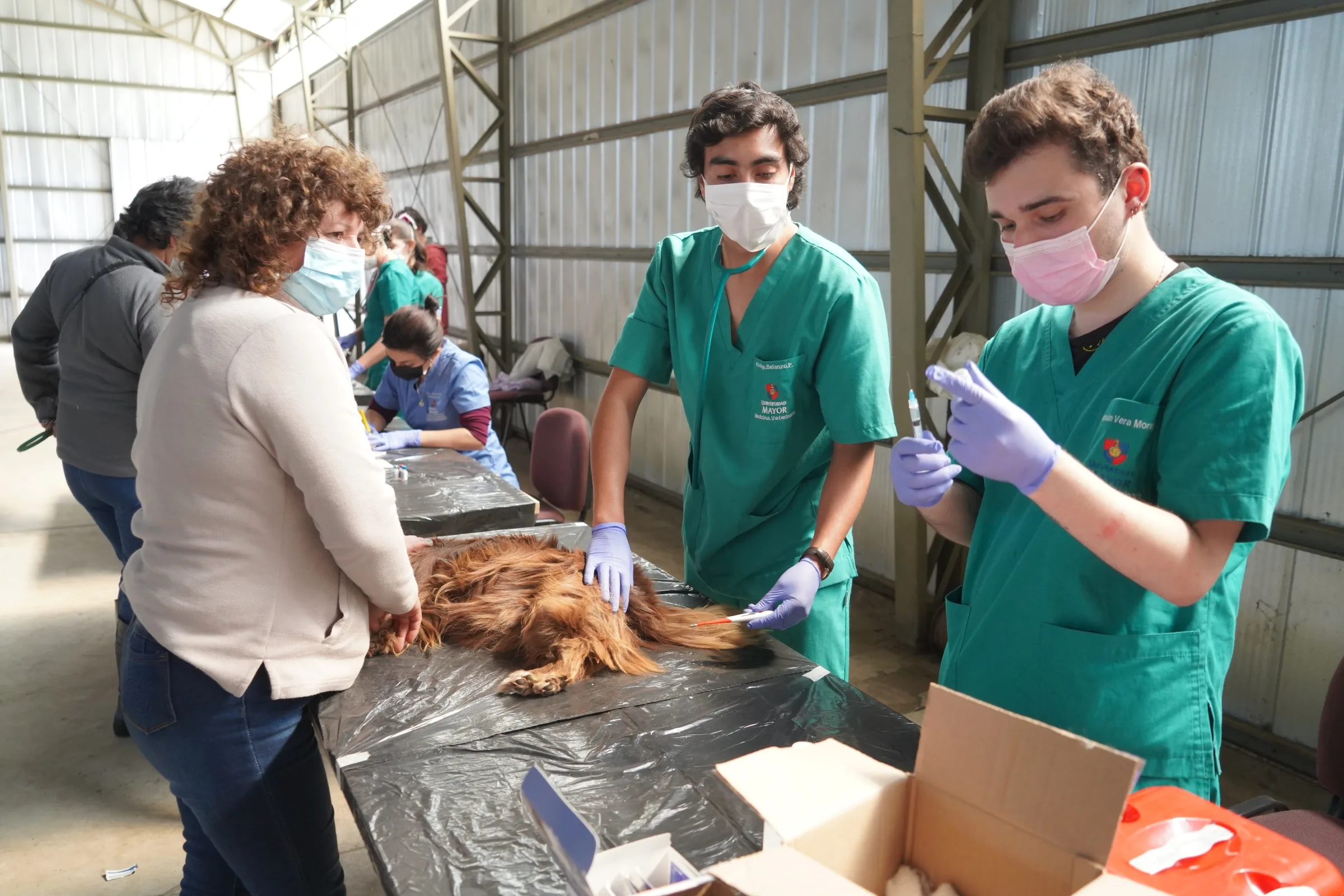 Curacautín: SalmonChile junto a Universidad Mayor realizan exitoso operativo veterinario en la comuna