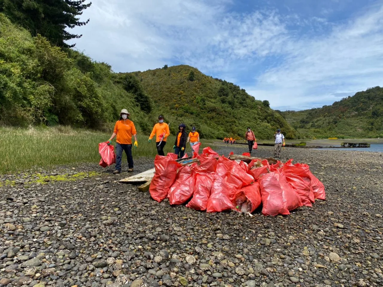 SalmonChile junto a empresas socias participan de limpieza de playas que retiró 3,5 toneladas de residuos en el sector de Tenglo
