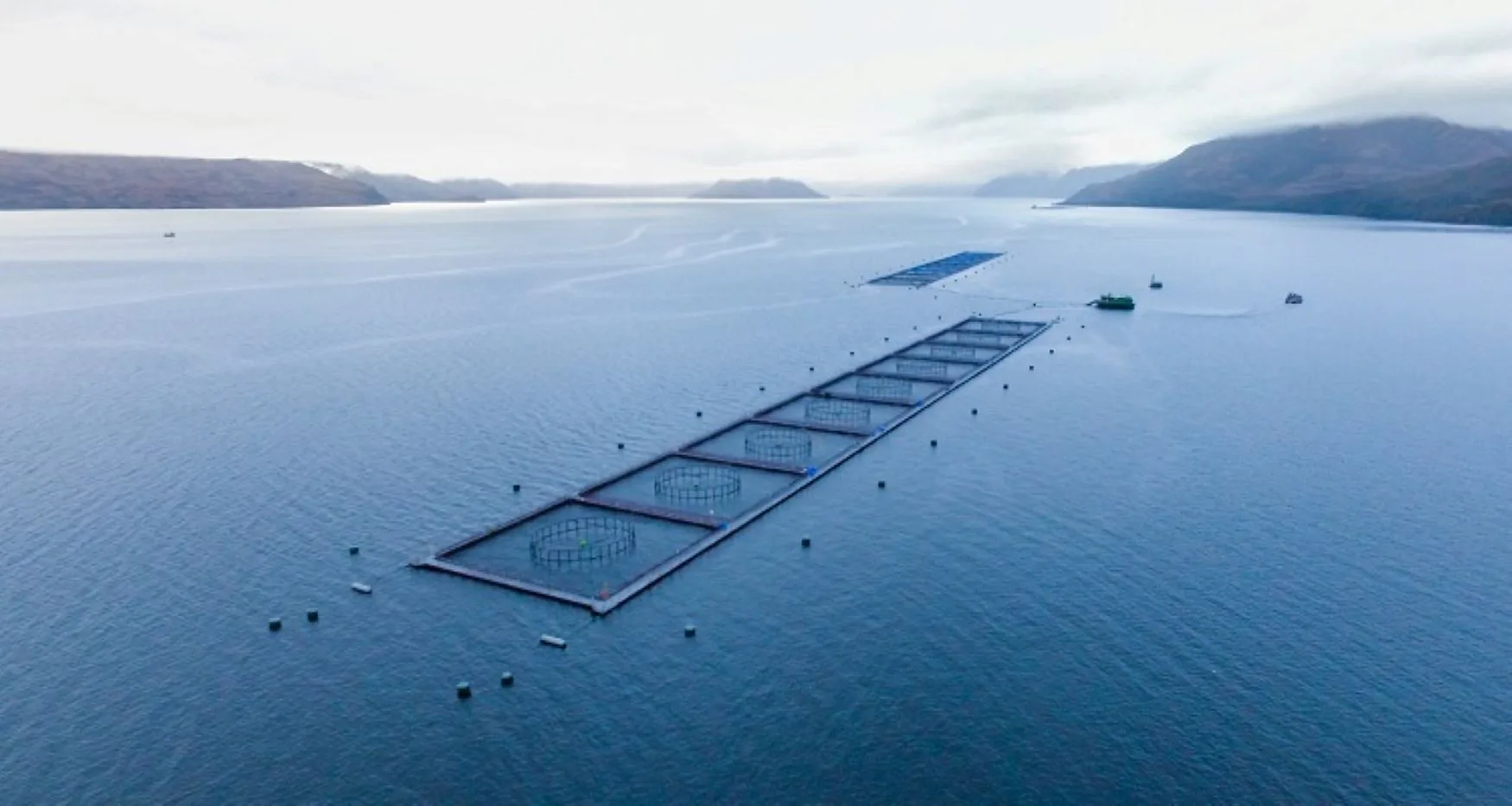 Declaración SalmonChile – Chiloé