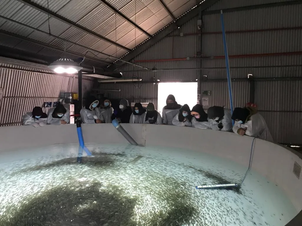 Estudiantes de Pucón visitaron piscicultura Catripulli para conocer los procesos de la salmonicultura