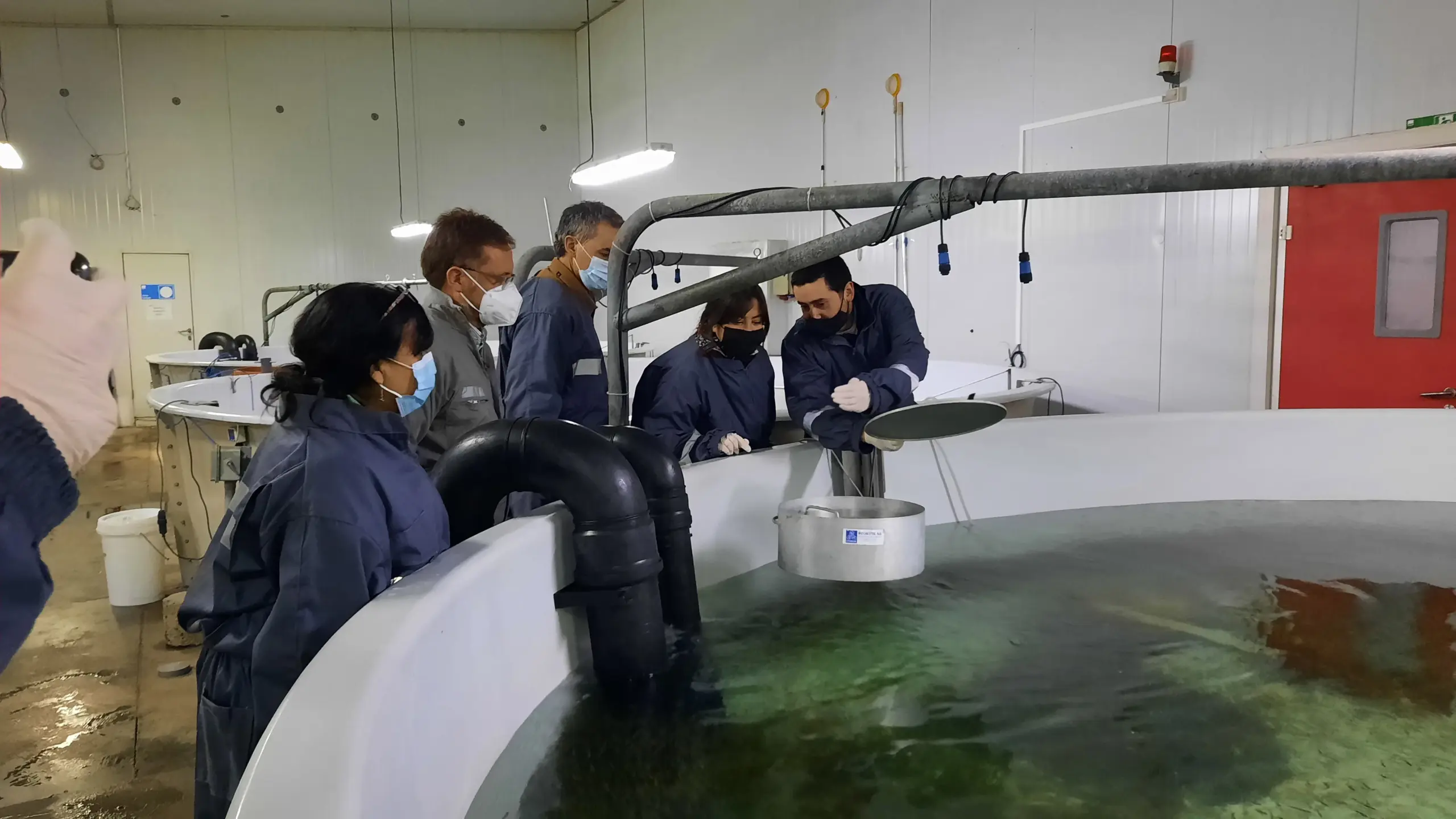 Seremi del Trabajo de La Araucanía visitó piscicultura Los Chilcos para reforzar la relación público-privada con la salmonicultura