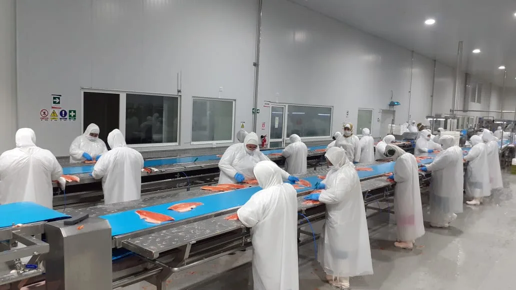 Acuerdo de compromiso de las empresas salmoneras que operan en Aysén