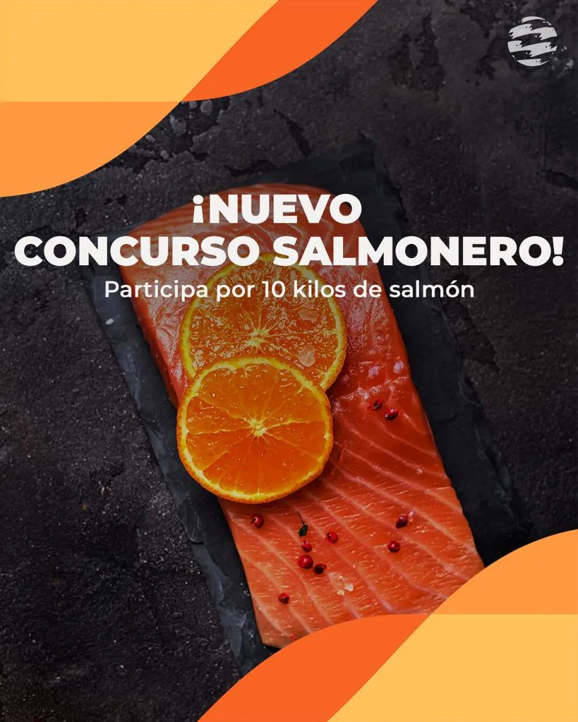 Bases concurso Instagram SalmonChile